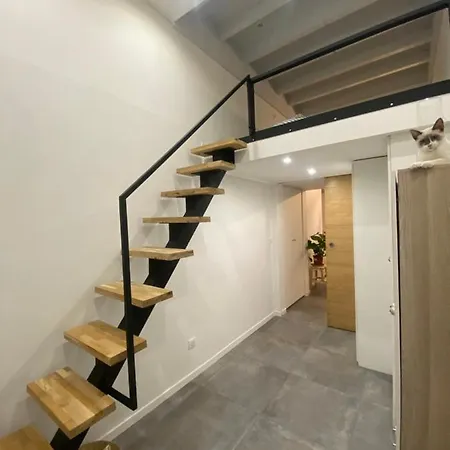 Apartment Magnifique Duplex - Centre Medecin Nice